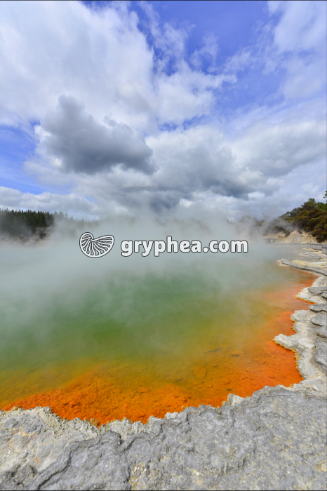 Zone géothermique de Rotorua (New Zealand) - Champagne Pool Wa-O-Tapu - gryphea.org